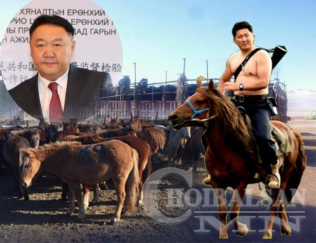 Амьд адуу хил гаргах хужаа нарын лобби буюу У.Хүрэлсүхийн шийдвэр, МХЕГ-ын дарга Н.Цагаанхүүгийн зөвшөөрөл?