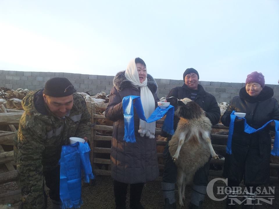 Чулуунхороот суманд “Түмэн сүрэгтэн” төсөл хэрэгжиж байна