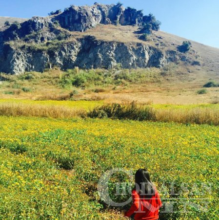 Гайхамшигтай байгалийн аялал фото