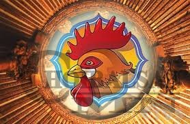 Гал тахиа жилийн шинийн нэгний өглөө мөр гаргах