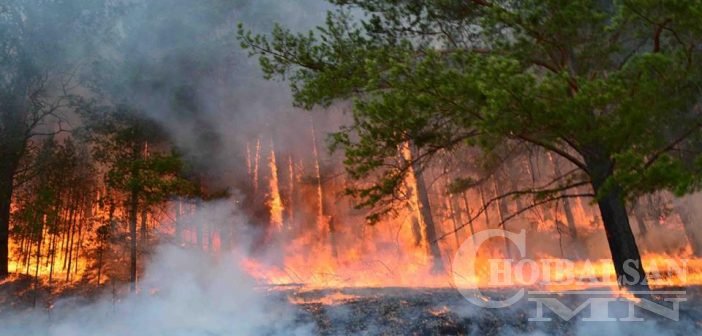 Бурхан Халдун ууланд гарсан галыг Монголын Пажеро клубын залуус цаг алдалгүй унтраажээ