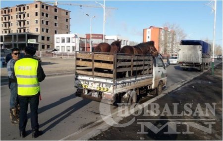 “Согтуугаар тээврийн хэрэгсэл жолоодох зөрчлийг таслан зогсооё” аян явагдаж ...