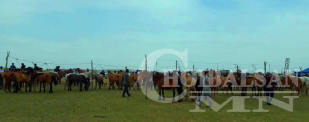 ХУРДАН УГШЛЫН “ДОРНОД АДУУ”-НЫ НААДАМ АМЖИЛТТАЙ БОЛЛОО