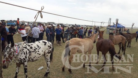 ХУРДАН УГШЛЫН “ДОРНОД АДУУ”-НЫ НААДАМ АМЖИЛТТАЙ БОЛЛОО