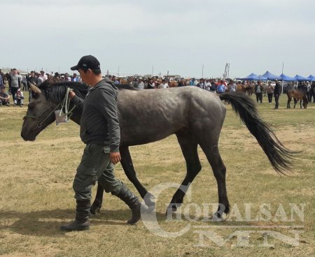 ХУРДАН УГШЛЫН “ДОРНОД АДУУ”-НЫ НААДАМ АМЖИЛТТАЙ БОЛЛОО