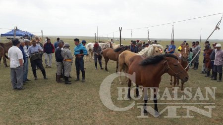 ХУРДАН УГШЛЫН “ДОРНОД АДУУ”-НЫ НААДАМ АМЖИЛТТАЙ БОЛЛОО