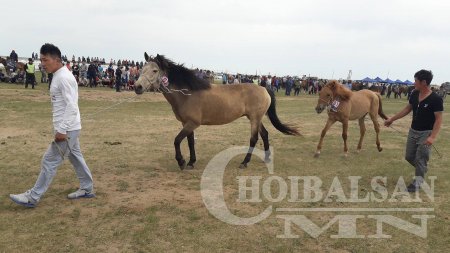 ХУРДАН УГШЛЫН “ДОРНОД АДУУ”-НЫ НААДАМ АМЖИЛТТАЙ БОЛЛОО