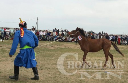 ХУРДАН УГШЛЫН “ДОРНОД АДУУ”-НЫ НААДАМ АМЖИЛТТАЙ БОЛЛОО