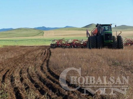 Дорнод аймаг ургацынхаа 50 хувийг алдах эрсдэлтэй боллоо