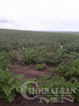Орон нутгийн хөдөлмөр эрхлэлтийг дэмжих зорилгоор Баян-Уул сумын иргэдтэй гэрээ хийв