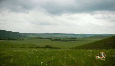 НӨМРӨГИЙН ДАРХАН ЦААЗАТ ГАЗАР