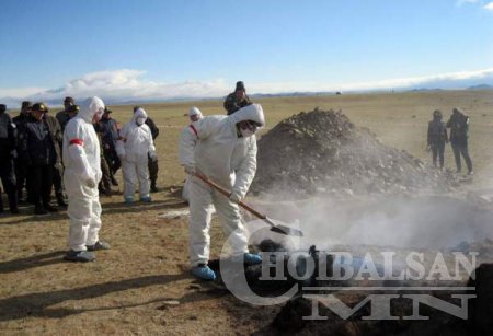 11 аймгийн 27 суманд шүлхийн өвчний 30 голомттой байна