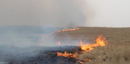 ДӨРВӨН СУМЫН НУТАГ ТҮЙМРИЙН ЭРСДЭЛИЙН АЮУЛТАЙ ЗЭРЭГЛЭЛД БАГТЖЭЭ