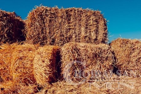 БООДЛЫН ӨВС ШҮЛХИЙ ТАРААГААД БАЙНА