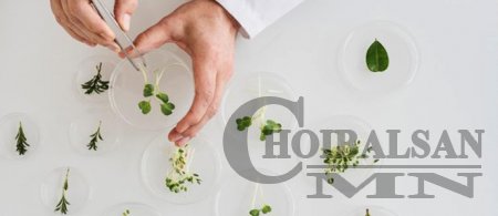 100 ЖИЛИЙН ДОТОР УРГАМЛЫН ГЕНЕТИК НӨӨЦИЙН 75% НЬ УСТАЖ ҮГҮЙ БОЛЖЭЭ
