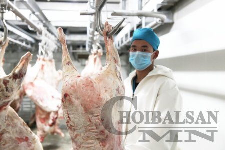 Үндэсний аюулгүй байдал буюу малын мах