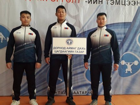 ЦАГДАА, ДОТООДЫН ЦЭРГИЙН АНГИ БАЙГУУЛЛАГЫН АВАРГА ШАЛГАРУУЛАХ 