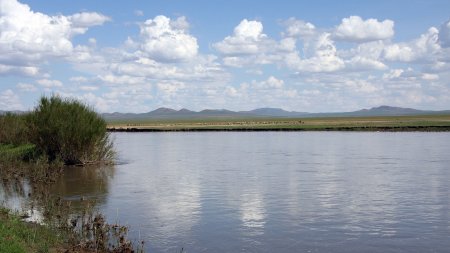 ХЭРЛЭН ГОЛД ЖИВЖ БАЙСАН ДӨРВӨН ОХИНЫ АМИЙГ АВАРЧЭЭ