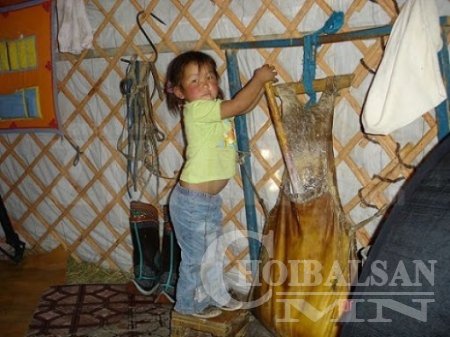 Багаасаа айраг уух нь биед дархлаа суулгадаг