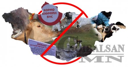 SOS! Малын халдварт өвчин гараагүй аймаг үлдсэнгүй