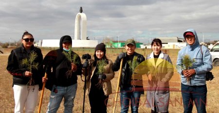 ДОРНОД: Чойбалсан хотод 200 орчим мянган мод бий