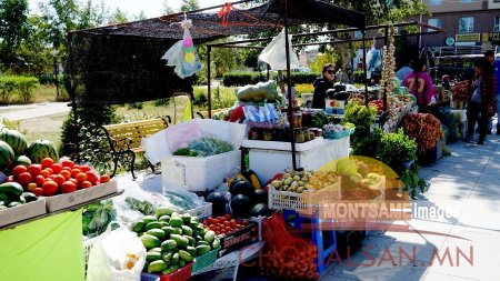 ДОРНОД: Хүнсний ногооны 25 хувийг дотоодоосоо хангаж байна