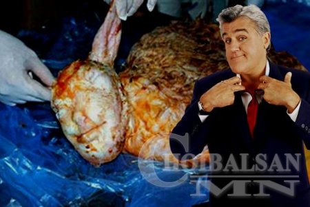 Хүн толгойтой хурга гарчээ