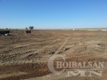 Дорнодын баруун талын танкын хог байсан газар ийм гоё болсон байна шүү