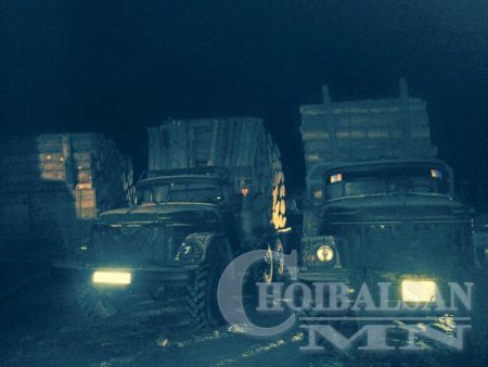 БОАЖ-ийн сайд Д.Оюунхорол модны хулгайчдад мод бэлтгэхийг үүрэгджээ