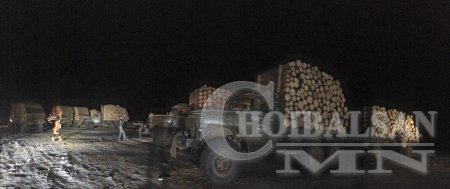 БОАЖ-ийн сайд Д.Оюунхорол модны хулгайчдад мод бэлтгэхийг үүрэгджээ