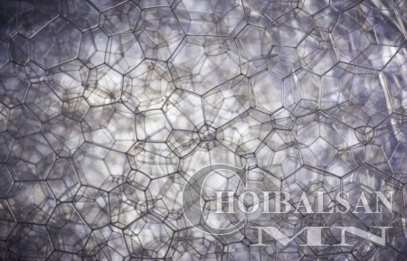 Макро дурангаар авсан эгэл юмсын “итгэмээргүй” зургууд