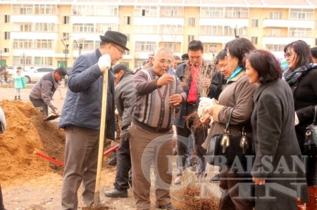 Ж.Батзандан гишүүн Баянзүрх хайрханд 1000 мод тарих хөдөлгөөнийг өрнүүлнэ