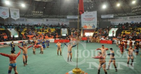 Харцага, начингууд халз барилдана