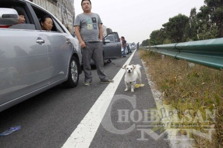 Бөглөрөлд орсон Хятадууд юу хийдэг вэ?