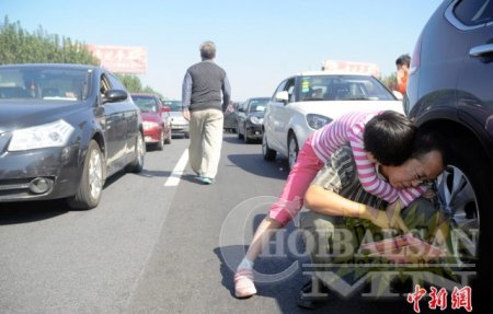 Бөглөрөлд орсон Хятадууд юу хийдэг вэ?