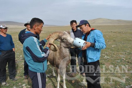 Харангадсан аргальтай хүмүүс таарч ундалжээ