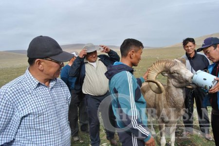 Харангадсан аргальтай хүмүүс таарч ундалжээ