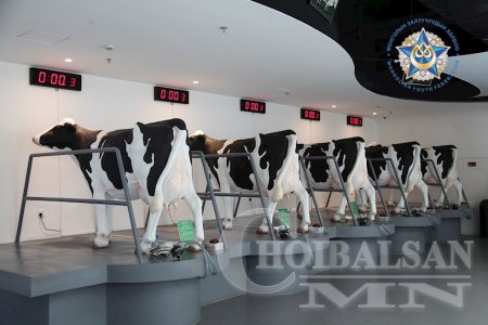 Эдийн засгийн салбарт ажилладаг залуус Өвөрмонголын “Yili” болон “Monmilk” сүүний үйлдвэртэй танилцлаа