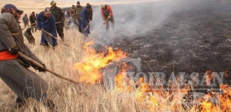 Түймрийн буруутай эзэд нь Эмийн ургамал түүгчид