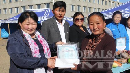 Баян-Уулын ногоочид “Хамгийн хамгийн”-аа тодруулав