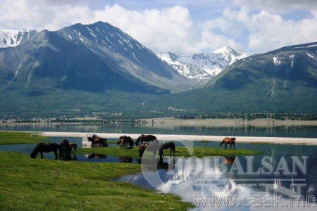 Монгол хийморь, Морин эрдэнэ фото