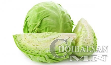 Эрүүлээр турах 5000 төгрөгөнд л багтана