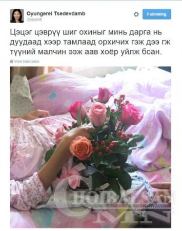 Зөв зүйлээр шоу хий, гишүүд ээ