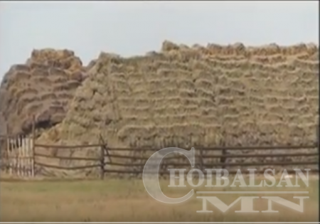 Халхгол сум бүхэлдээ ХЯТАДЫНХ БОЛСОН УУ