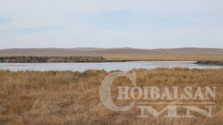 Дорнод аймаг 55650 тонн өвс бэлтгэнэ