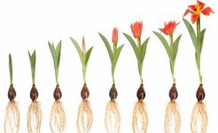 Хэрхэн бизнес эхлүүлэх вэ? 10 үндсэн зөвлөгөө