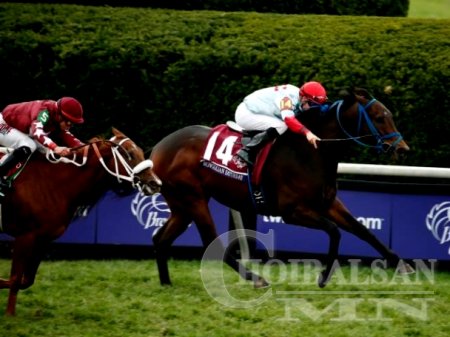 Д.Ганбаатарын 