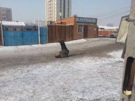 Зөвхөн монголд харж болох хачирхалтай зургууд