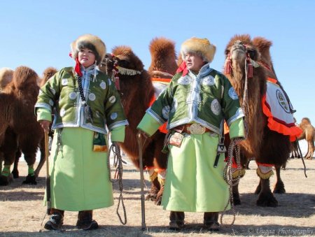 Зөвхөн монголд харж болох хачирхалтай зургууд