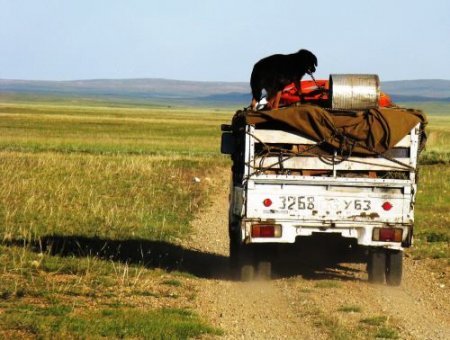 Зөвхөн монголд харж болох хачирхалтай зургууд